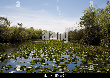 An airboat tour going through the water lillies and foliage in the Everglades National Park, Miami Florida USA Stock Photo