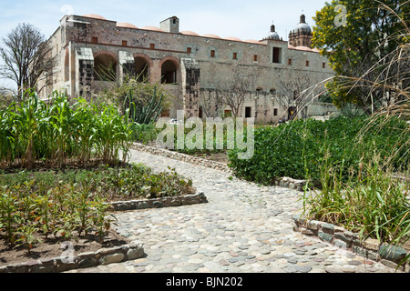 beds planted with specimens of pre-Columbian agriculture botanical Garden on former grounds of monastery of Santo Domingo Stock Photo