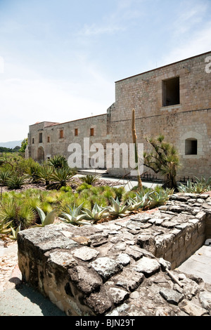 view of various indigenous cactus planted in botanical Garden on grounds of former monastery Of Santo Domingo Oaxaca Mexico Stock Photo