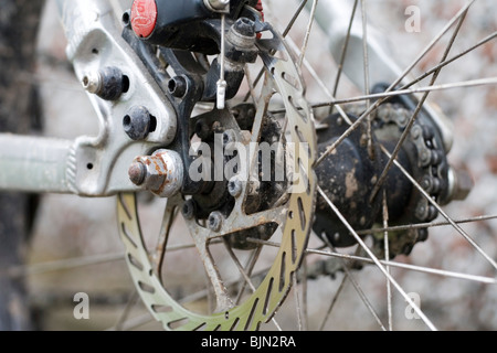 A rear disc brake assembly on a bicycle Stock Photo