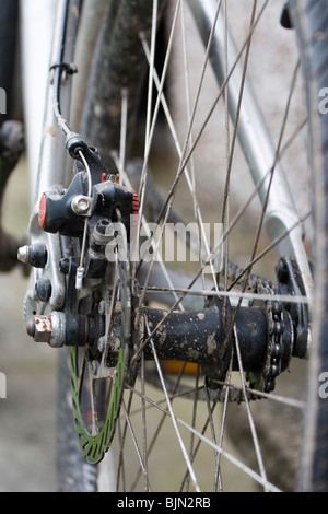 A rear disc brake assembly on a bicycle Stock Photo
