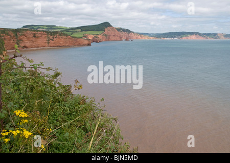 Impressive coastline at Chiselbury Bay, with Ladram Bay and Sidmouth in the distance Stock Photo