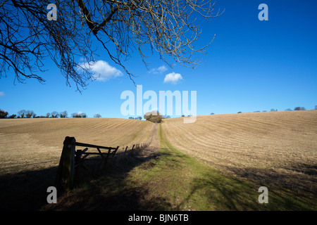 Farm fields in the Chiltern Hills Oxfordshire England UK Stock Photo