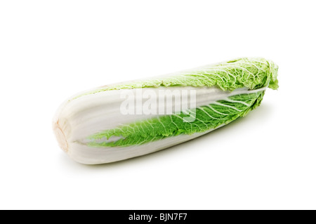 chinese cabbage isolated on white Stock Photo