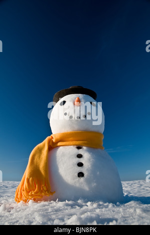 snowman look in sky and wait spring Stock Photo - Alamy