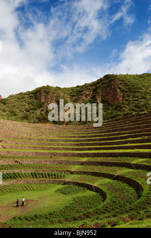 Inca crop terraces, Moray, Peru Stock Photo