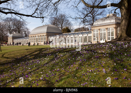 Spring flowers in front  the pavilions in the Botanical Gardens, Sheffield Stock Photo