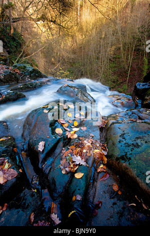 The top of the Falling Foss Waterfall in early winter, May Beck near Whitby, North York Moors National Park Stock Photo