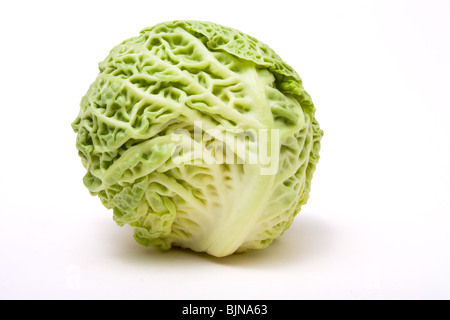Cabbage close up from low viewpoint against white background. Stock Photo