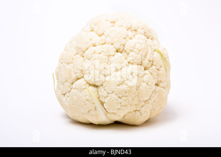 Single head of cauliflower isolated against white background. Stock Photo