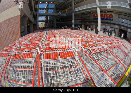 Carts lined up outside a Costco Wholesale store at a mall in New York on Saturday, March 27, 2010. (© Richard B. Levine) Stock Photo
