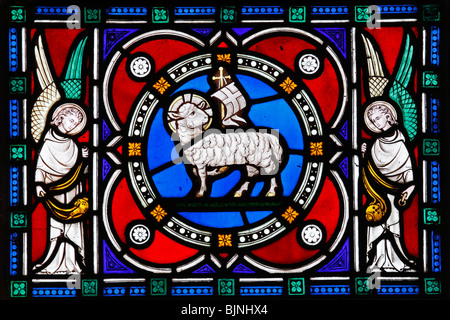 Stained glass depicting the Agnus Dei (The Lamb of God) in Duomo Stock ...