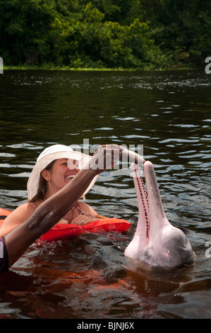 Ecotourism in Amazon rain forest. Tourists have fun and feed the Amazon river dolphin or Pink River Dolphin ( Inia geoffrensis )