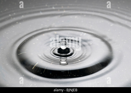 A droplet of water falling into a puddle and creating ripples Stock Photo
