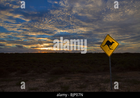 Kangaroo Crossing Sign, Western Australia at dusk Stock Photo