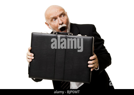 Portrait of businessman with briefcase Stock Photo