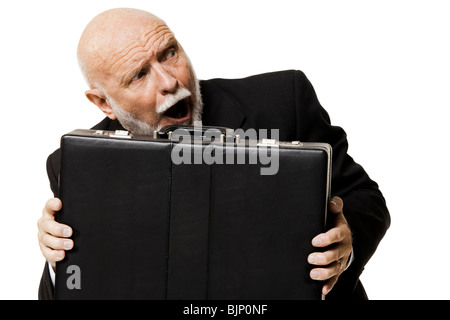 Portrait of businessman with briefcase Stock Photo
