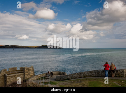 Two couples looking at the entrance to Falmouth Harbour in Cornwall.  Photo by Gordon Scammell Stock Photo