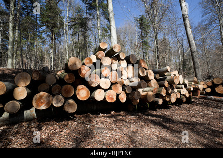 Sustainable logging in Switzerland. Charles Lupica Stock Photo