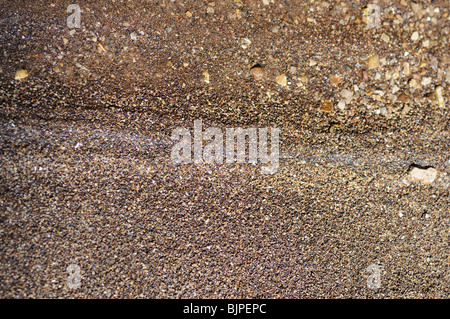 Texture and patterns in the wet sand on the bank of a stream. Stock Photo