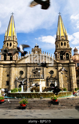 Pigeons flying in front of the Cathedral in historic center in Guadalajara, Jalisco, Mexico Stock Photo