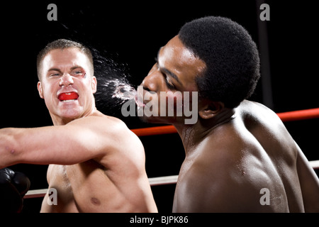Boxers fighting Stock Photo