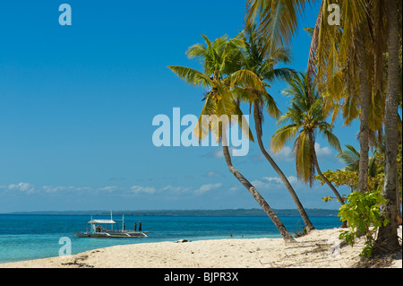 palms Beach Malapascua Island Cebu Philippines Visayan Sea sun sunny tropical holiday paradise post card holidays vacation feel Stock Photo