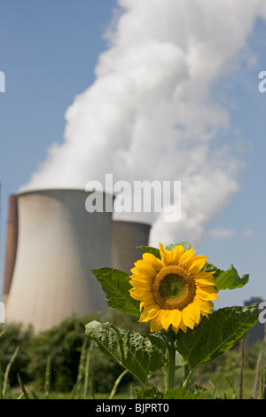 smoky cooling power station with sunflower Stock Photo