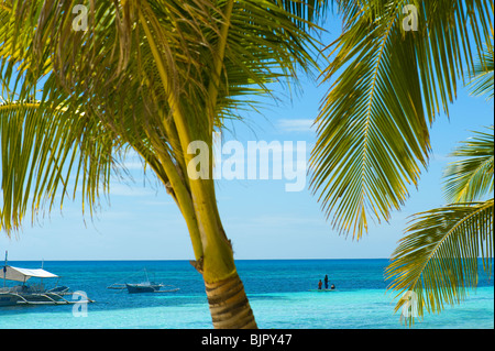 palms Beach Malapascua Island Cebu Philippines Visayan Sea sun sunny tropical holiday paradise post card holidays vacation feel Stock Photo