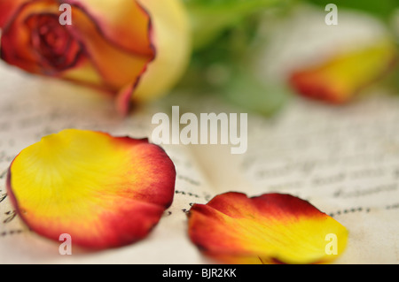 Rose and petals on diary Stock Photo