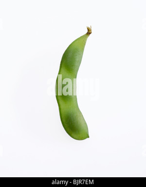 soybean and pod Stock Photo