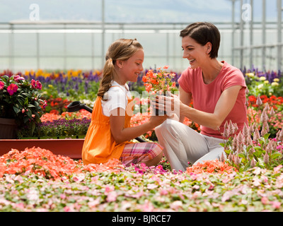 USA, Utah, Salem, Mother and daughter (8-9) in plant nursery Stock Photo
