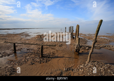 The mussel beds at Old Hunstanton, Norfolk, at low tide. Stock Photo