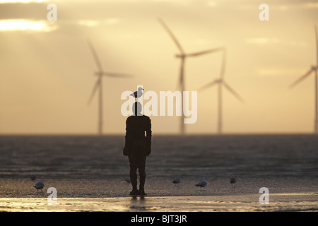 'Another place' Wind turbines and gull sat on Antony Gormley sculpture of man Crosby beach, Merseyside, England, UK Stock Photo
