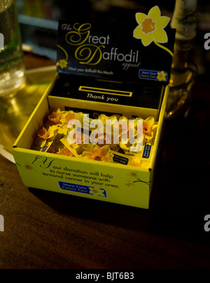 A Marie Curie Cancer Care charity box. Stock Photo