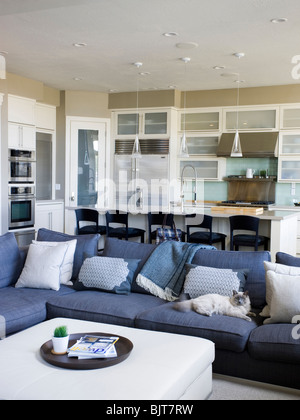 USA, Utah, Provo, Cat relaxing on sofa in luxury home