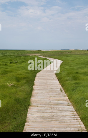 Winding boardwalk leading out to the beach, Wellfleet Bay wildlife sanctuary, Cape Cod, Massachusetts, USA Stock Photo