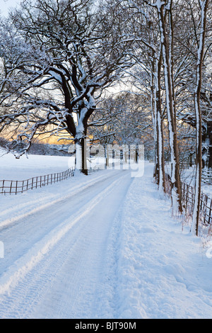 Dusk falling on an icy, snow covered Cotswold lane through parkland at Stanway, Gloucestershire UK Stock Photo