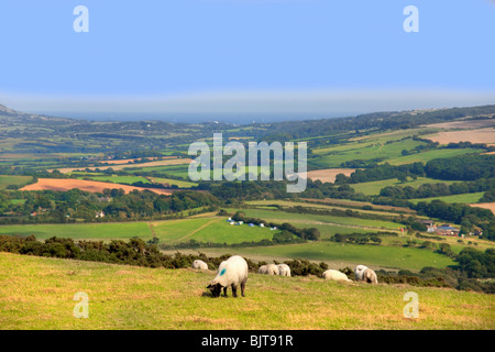 the view over dorset countryside from whiteways hill on army training ground in dorset Stock Photo