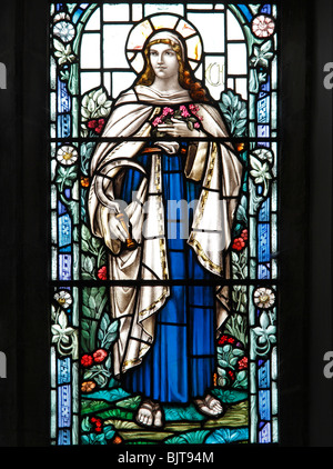 A stained glass window by William Morris & Co depicting Saint Urith, St Mary's Church, South Walsham, Norfolk Stock Photo