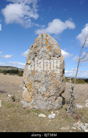 One of the lesser known and visited menhirs on the Causse Mejean, a limestone plateau above the Gorges du Tarn. Stock Photo