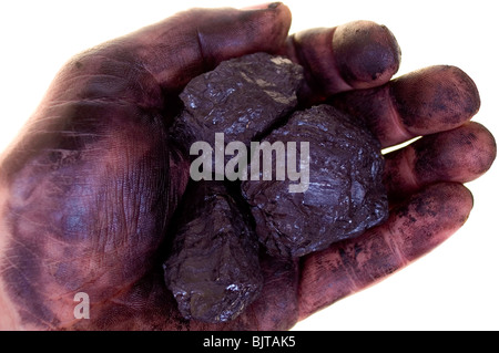 Pieces of coal in dirty palm isolated on white background Stock Photo