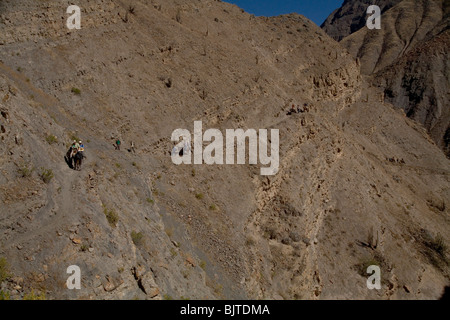 Expedition on mules in Colca Canyon Valley, the deepest canyon on Earth. Peru, South America Stock Photo