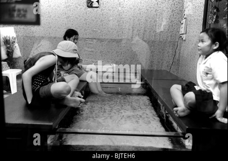 three young girls ,Bangkok fish foot  massage by doctor fish , lumpini night market , bangkok , thailand Stock Photo