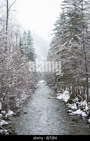 Path through snow covered trees Stock Photo