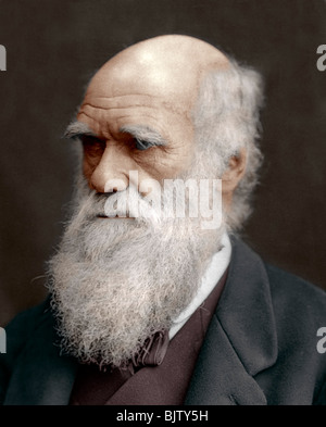 Charles Darwin, British naturalist, 1878. Artist: Unknown Stock Photo