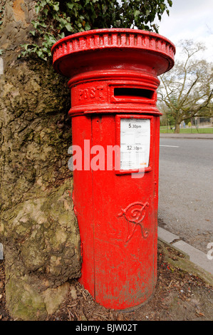 Unusual small red UK mailbox with very old tree growing around it Stock Photo