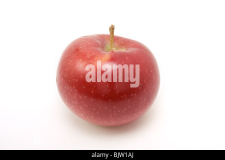Red macintosh apple from low viewpoint isolated against white background. Stock Photo