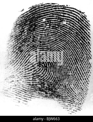 police, criminal solution, fingerprint, Stock Photo