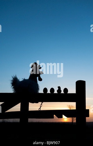 Soft toy Chicken with eggs and chick on a gate at sunrise. Silhouette Stock Photo